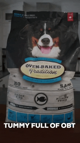 Dog Dogfood GIF by OvenBakedTradition