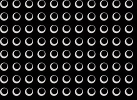 IWSC GIF