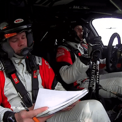 FIA-ERC angry driving rally problem GIF