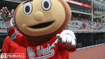 Ohio State Buckeyes GIFs - Get the best GIF on GIPHY