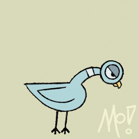 Angry Pigeon GIF by Mo Willems Workshop