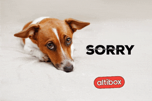 Im So Sorry GIF by Altibox