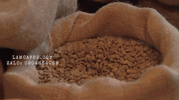 Espressocoffee GIF