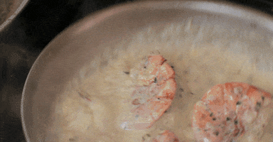 shrimp massilia GIF by Yevbel