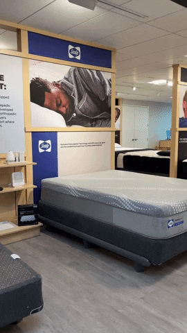 Surprise Lol GIF by Mattress Firm