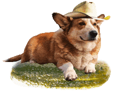 Dog Cowboy Sticker by punchvisual