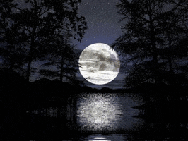 moon river GIF