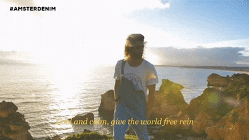 Sunset Freedom GIF by Amsterdenim