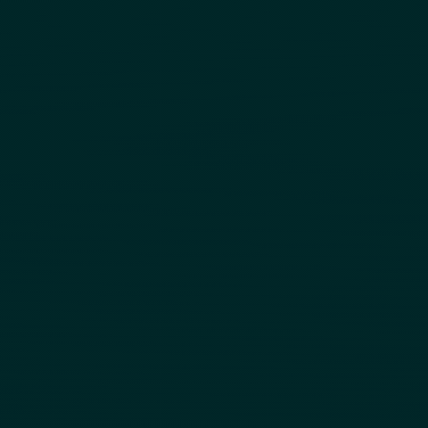 اليوم الوطني السعودي GIF by MBC Group