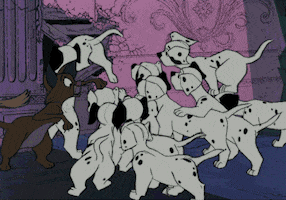 101 dalmatians puppy GIF by Disney