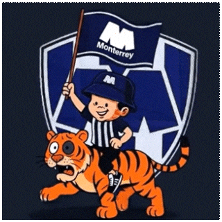 Nuevo Leon Monterrey GIF by BARSUK