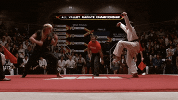 the karate kid crane kick GIF by Hollywood Suite