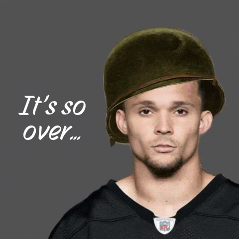 Pittsburgh Steelers GIF