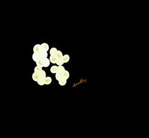 Nom Nom Popcorn GIF by Idimedley