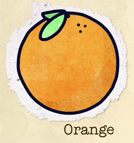 Orange Fruit GIF by Kev Lavery