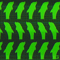 dolphins GIF by gifnews