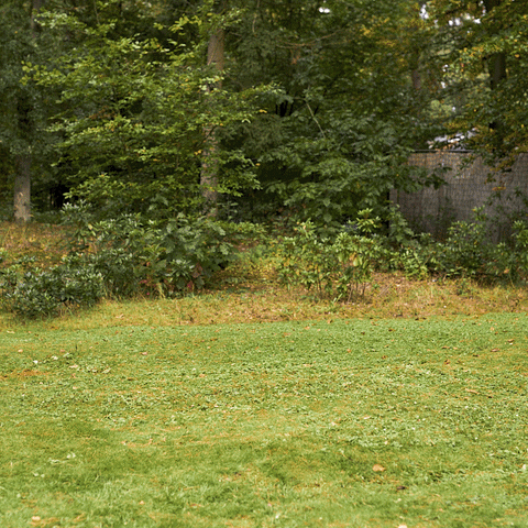 DreamLand GIF