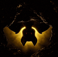 MoonBats GIF