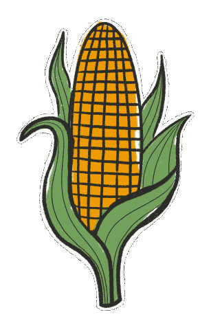 Corn On The Cob Sticker