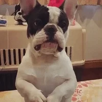 please GIF