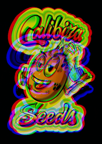 Calibiza Seeds Co. GIF