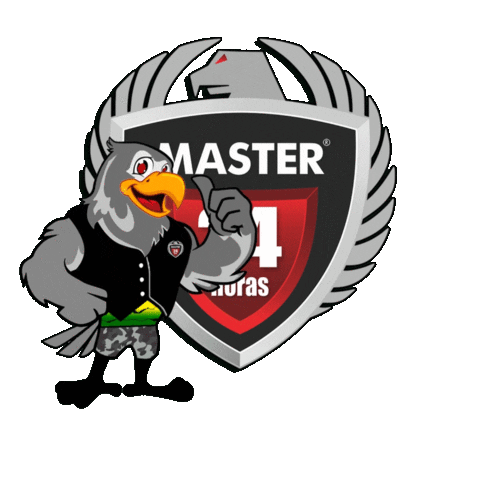 Master Monitoramento 24 Horas Sticker