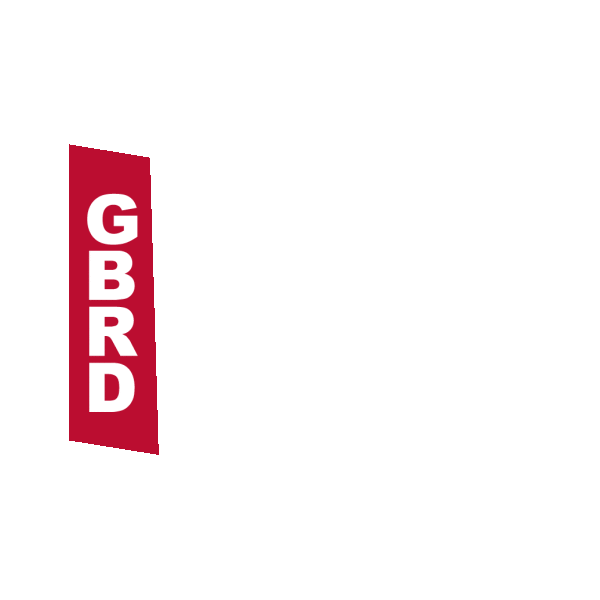 AB InBev Efes Sticker