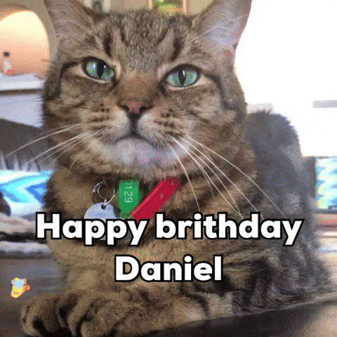 Happy Birthday Cat GIF