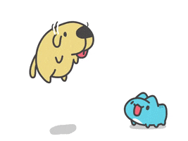 Capoo GIF