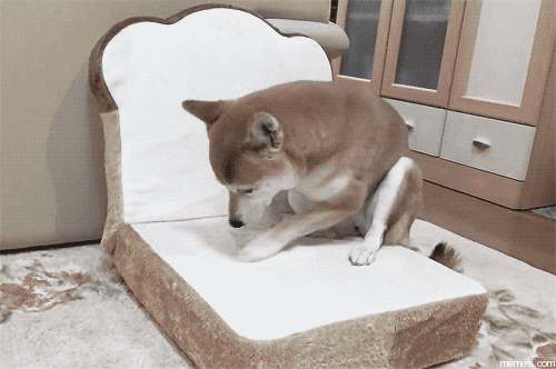 Akita Inu Gifs Get The Best Gif On Giphy