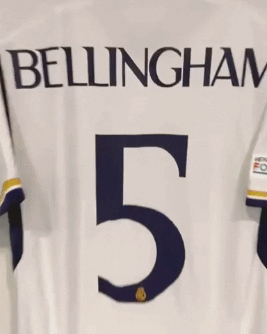 Real Madrid Football GIF