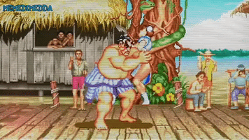 Street Fighter Ã¢ÃÃ¡ GIF