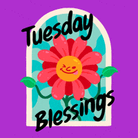 Tuesday Blessing GIF by GIPHY Studios 2022 Tuesday Blessing GIF by GIPHY Studios 2022