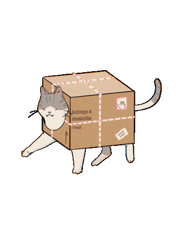 Gato Sticker