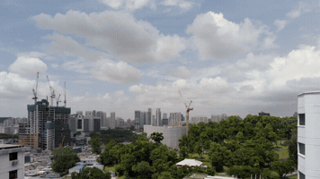 Film GIF