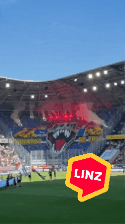 Soccer Bundesliga GIF by Linz News