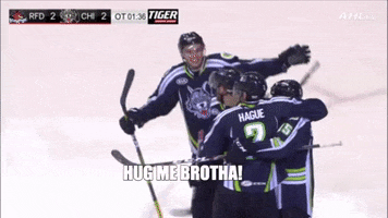 Chicago Wolves GIF