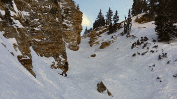 utah snowboarding GIF by Elevated Locals
