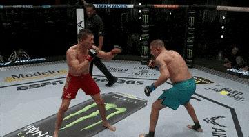 Episode 8 Knockout GIF by UFC