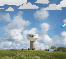 Texas Longhorns GIF by Fort Worth Water