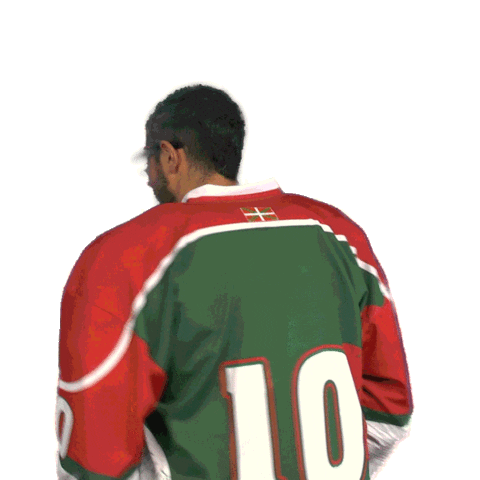 Anglet Hormadi Pays Basque Sticker