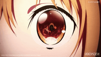 Video Game Reflection GIF by Funimation