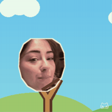 Flying Angry Birds GIF