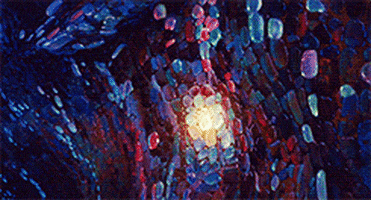 Animation Inspiration animated GIF