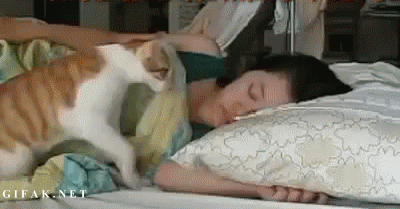 https://media3.giphy.com/media/BtMgDj2mZLzws/source.gif