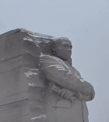 Martin Luther King Jr Mlk GIF by Storyful