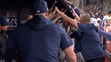 Tampa Bay Rays Hug GIF by MLB