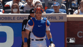 Ny Mets Point GIF by New York Mets