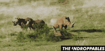 Rhino GIF by The Undroppables