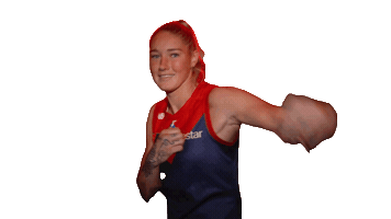 Melbourne Demons Boxing Sticker by Melbournefc